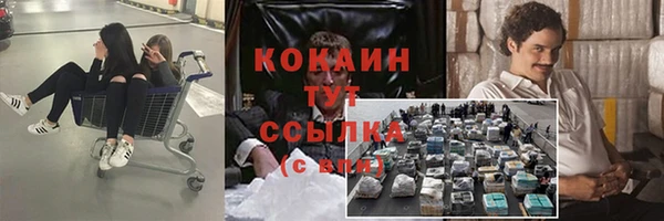spice Алзамай