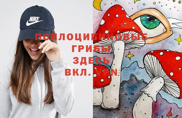 spice Алзамай