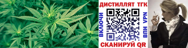 ТГК концентрат  Шуя 