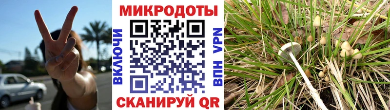 даркнет наркотические препараты  Шуя  Галлюциногенные грибы ЛСД 